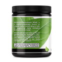MSM Powder (16oz)