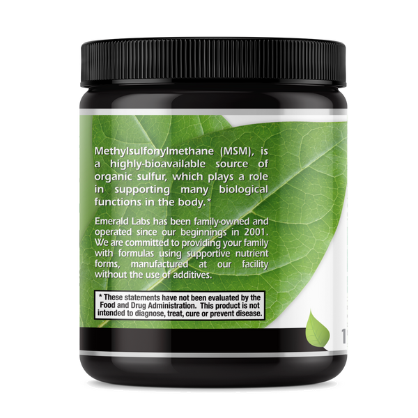MSM Powder (16oz)