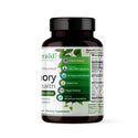 Memory Health