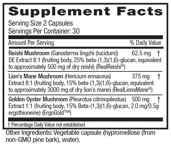 Mushroom Memory & Focus
