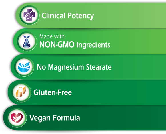 Mushroom Memory & Focus